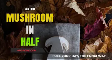 Can You Cut Mushrooms in Half? Tips and Best Practices