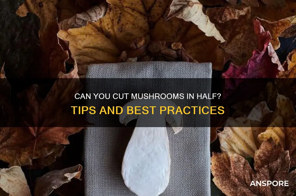 can i cut mushroom in half