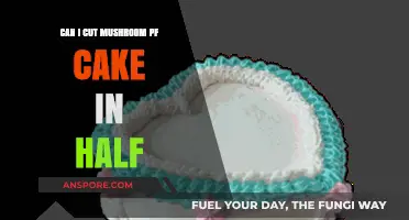Can You Cut Mushroom PF Tek Cake in Half? Tips & Guide