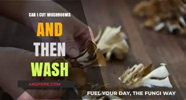 Cutting Mushrooms Before Washing: Best Practices for Freshness and Flavor