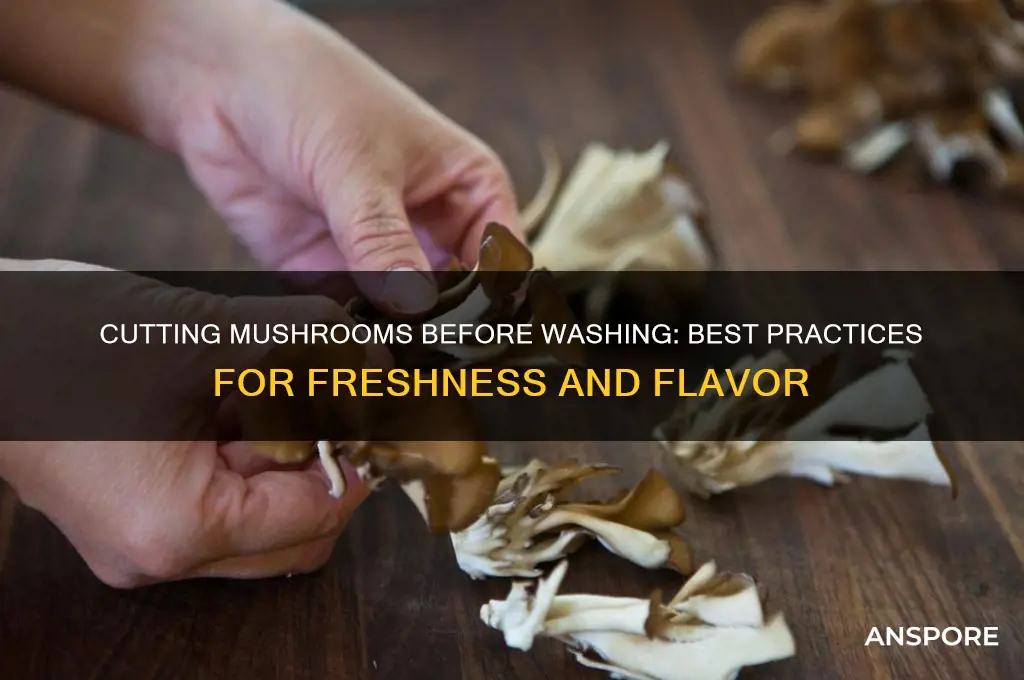 can i cut mushrooms and then wash
