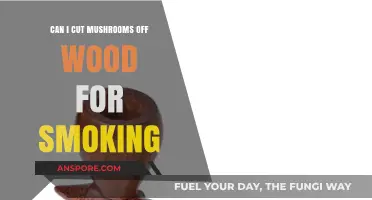Can You Safely Cut Mushrooms Off Wood for Smoking?