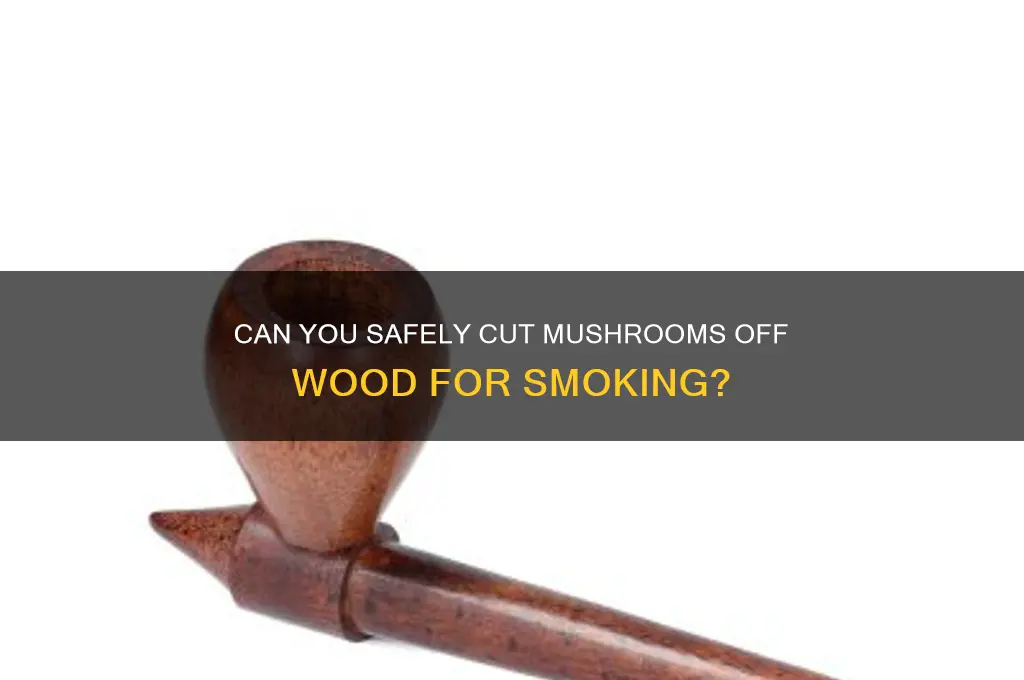 can i cut mushrooms off wood for smoking
