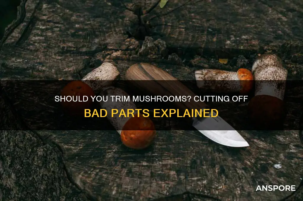 can i cut off bad part of mushroom