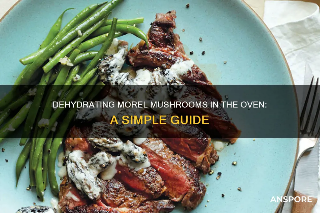 can i dehydrate morel mushrooms in the oven