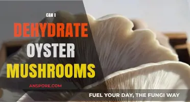 Dehydrating Oyster Mushrooms: A Simple Guide to Preserving Flavor