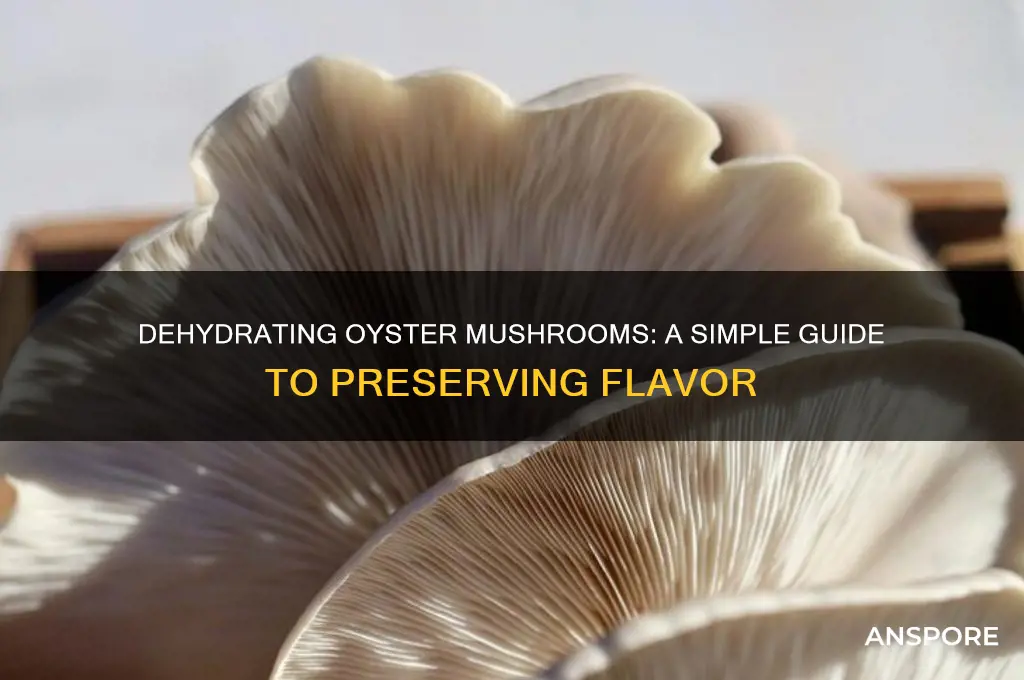 can i dehydrate oyster mushrooms