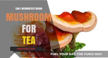 Dehydrating Reishi Mushrooms: A Simple Guide for Making Tea