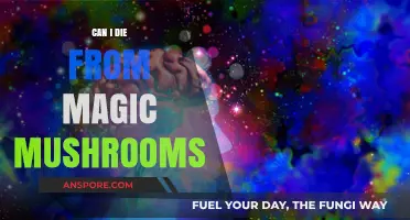 Magic Mushrooms: Understanding the Risks of Psilocybin Overdose and Death