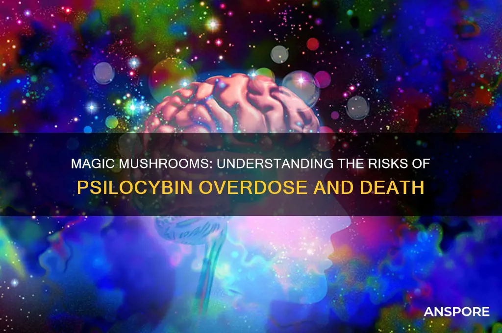 can i die from magic mushrooms