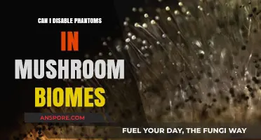 Disable Phantoms in Mushroom Biomes: A Step-by-Step Guide