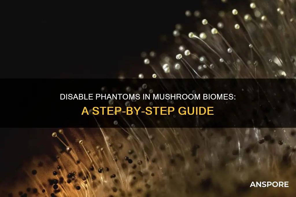 can i disable phantoms in mushroom biomes