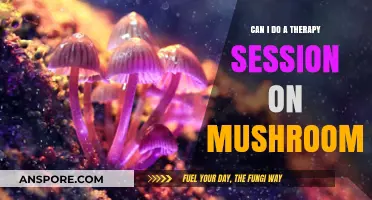 Exploring Psychedelic Therapy: Can Mushrooms Enhance Your Healing Journey?