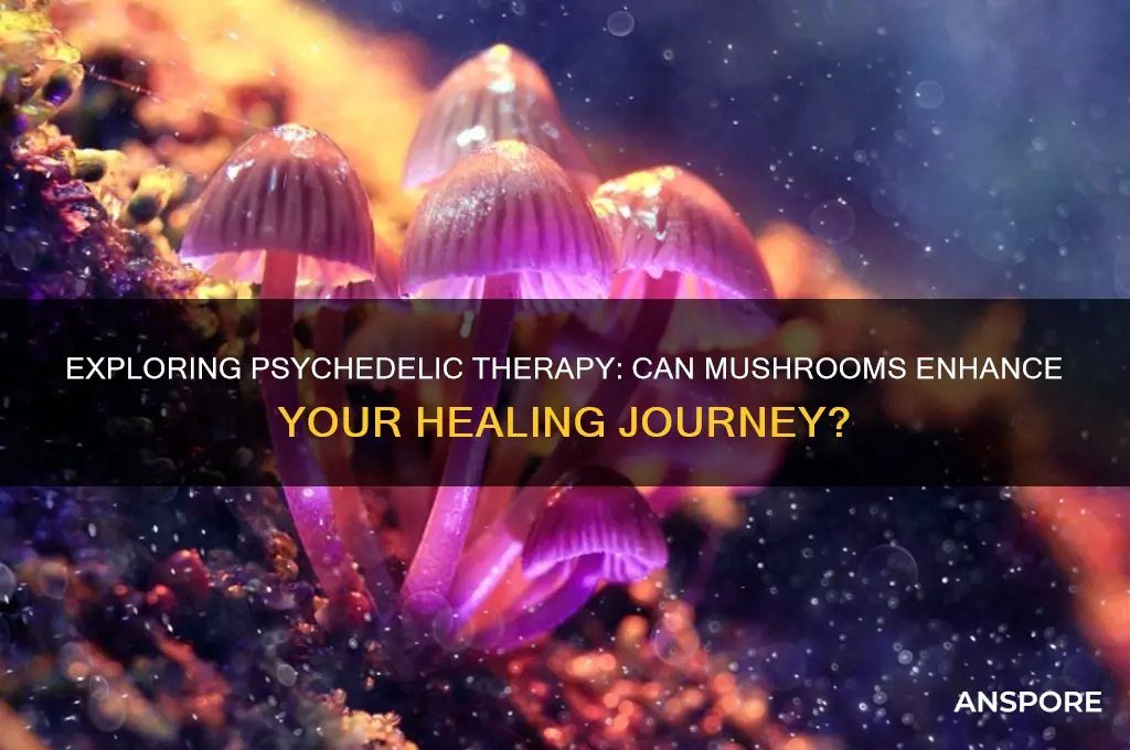 can i do a therapy session on mushrooms