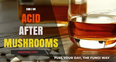 Mixing Psychedelics: Risks of Combining Acid and Mushrooms Explained