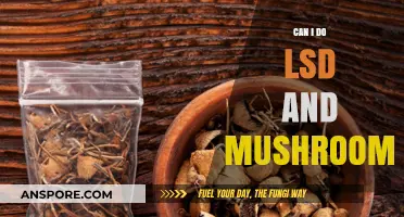 Mixing LSD and Mushrooms: Risks, Effects, and Safety Considerations