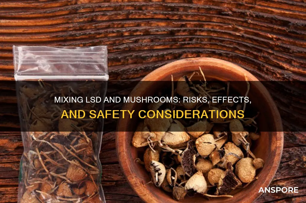 can i do lsd and mushrooms