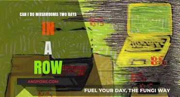 Consecutive Mushroom Trips: Risks and Considerations for Back-to-Back Use