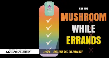 Mushrooms and Errands: Balancing Psychedelic Experiences with Daily Responsibilities