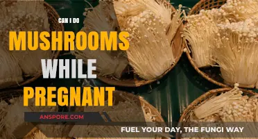 Pregnancy and Psilocybin: Risks of Using Mushrooms While Expecting