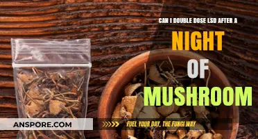 Risky Combo: Double Dosing LSD After Mushroom Trip – Safe or Not?