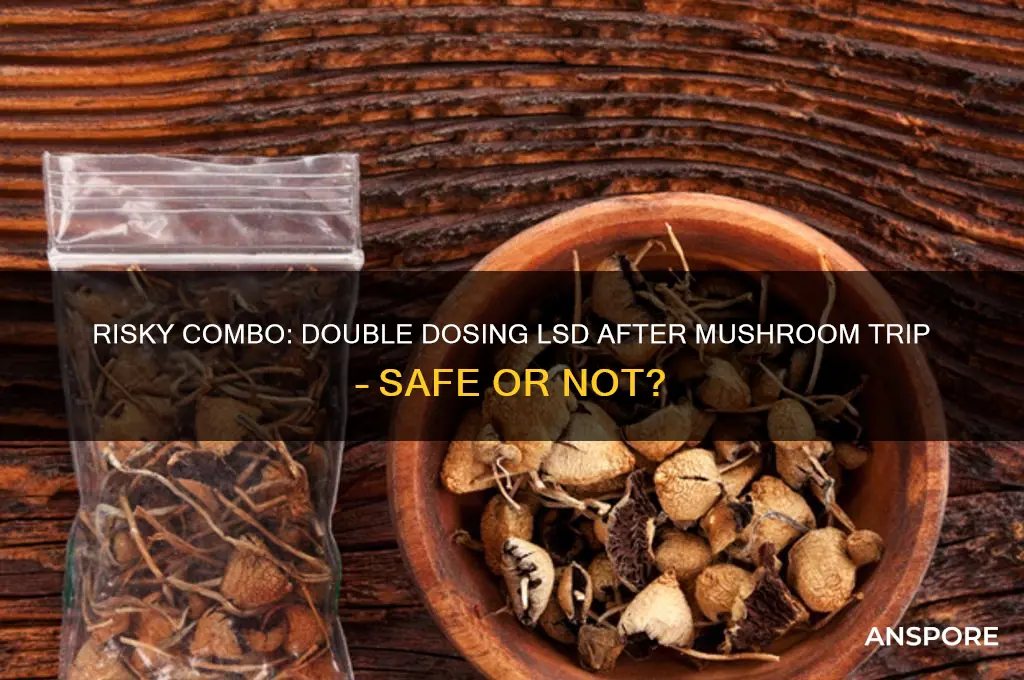 can i double dose lsd after a night of mushrooms