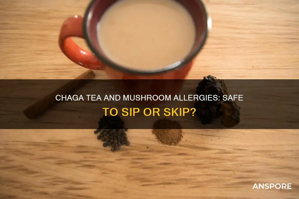 can i drink chaga tea if allergic to mushrooms