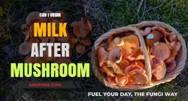 Drinking Milk After Mushroom Consumption: Safe or Risky Choice?
