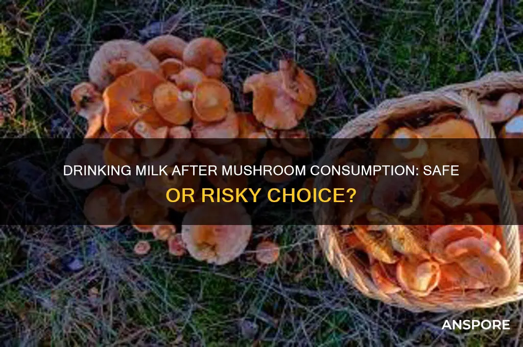 can i drink milk after mushroom