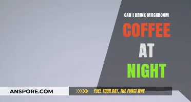 Mushroom Coffee at Night: Benefits, Risks, and Sleep Impact
