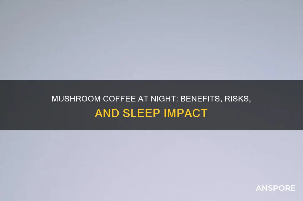 can i drink mushroom coffee at night