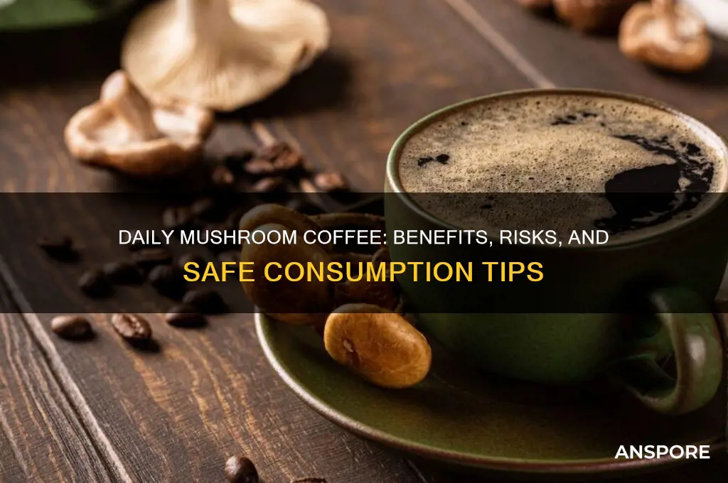 can i drink mushroom coffee everyday