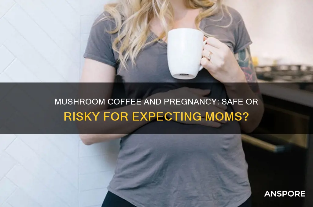 can i drink mushroom coffee while pregnant