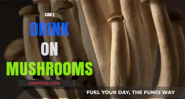 Can You Safely Mix Alcohol and Magic Mushrooms? Risks Explained