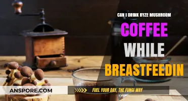 Ryze Mushroom Coffee and Breastfeeding: Safe or Not?