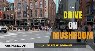Driving on Mushrooms: Legal Risks and Safety Concerns Explained