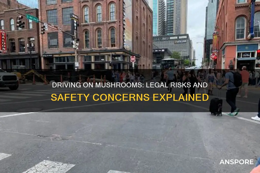 can i drive on mushrooms