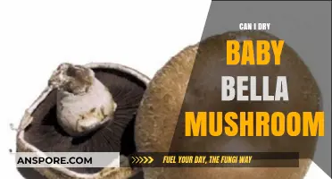 How to Properly Dry Baby Bella Mushrooms for Long-Term Storage