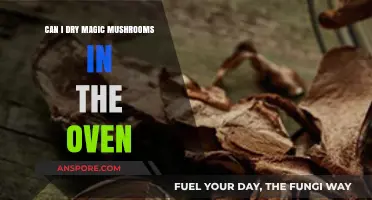 Drying Magic Mushrooms in the Oven: Safe Method or Risky Idea?