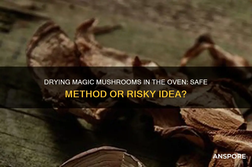 can i dry magic mushrooms in the oven