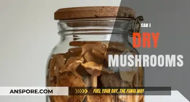 How to Safely Dry Mushrooms for Long-Term Storage and Flavor