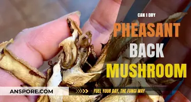 Drying Pheasant Back Mushrooms: Tips for Preservation and Flavor Enhancement