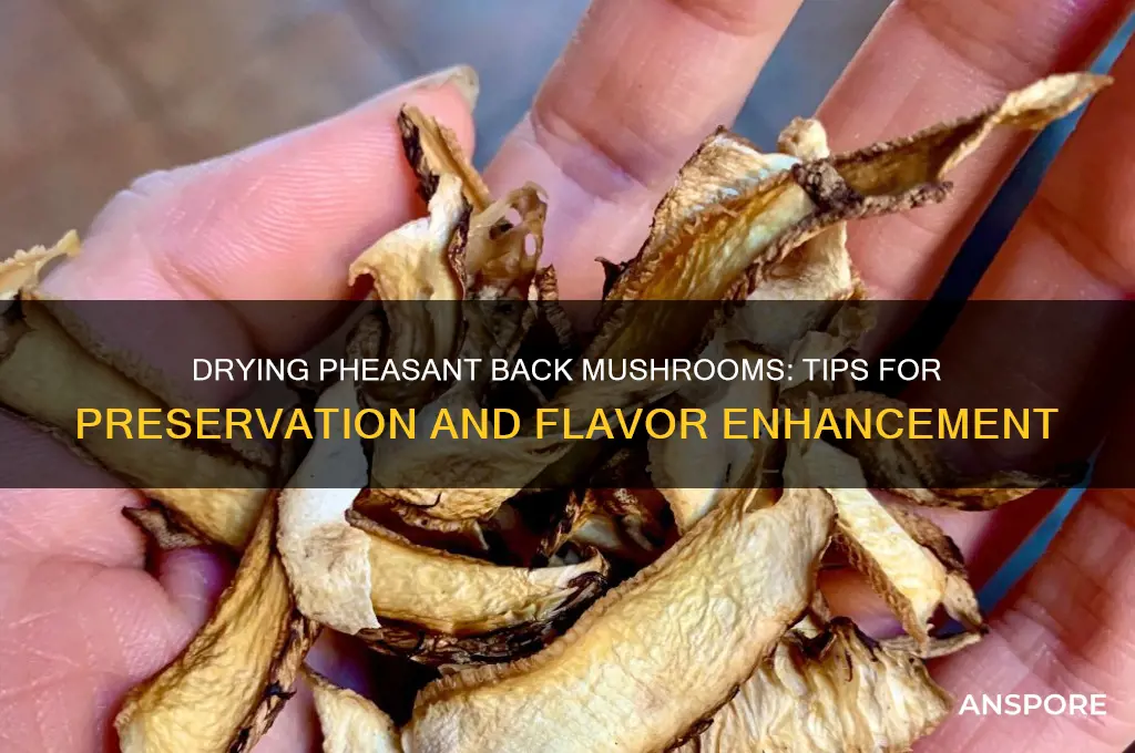 can i dry pheasant back mushrooms