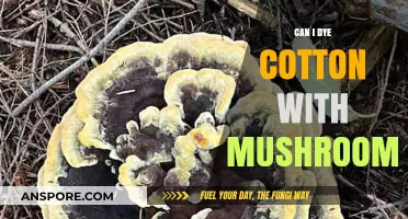 Mushroom Dyeing Cotton: A Natural, Eco-Friendly Fabric Coloring Guide