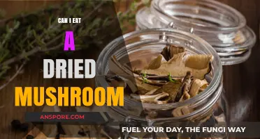 Can You Safely Eat Dried Mushrooms? A Complete Guide