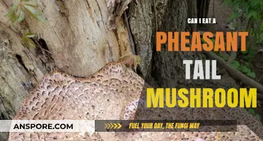 Can You Safely Eat a Pheasant Tail Mushroom? A Guide