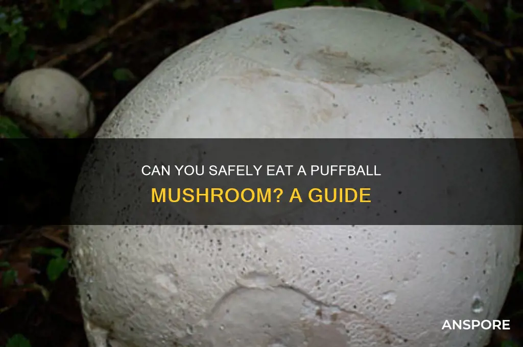 can i eat a puffball mushroom