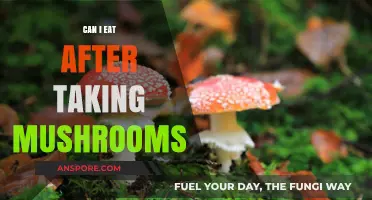 Eating After Mushroom Consumption: Safe Timing and Tips for Comfort