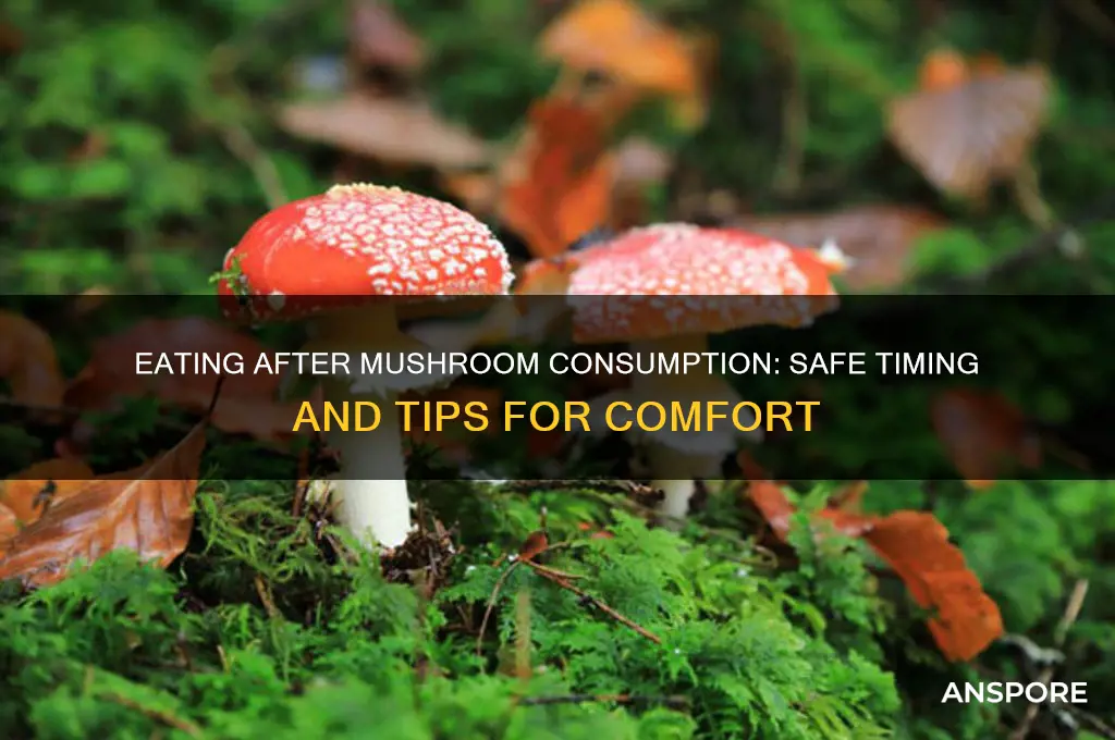 can i eat after taking mushrooms