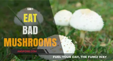 Can You Eat Bad Mushrooms? Risks, Symptoms, and Safety Tips